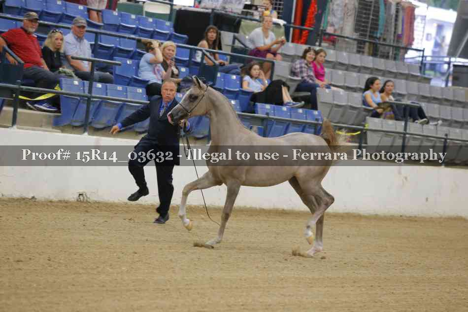 Proof 15R14_03632