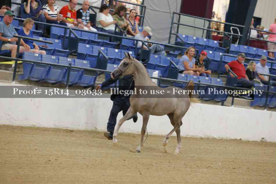 Proof 15R14_03633