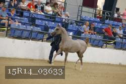 15R14_03633 proof