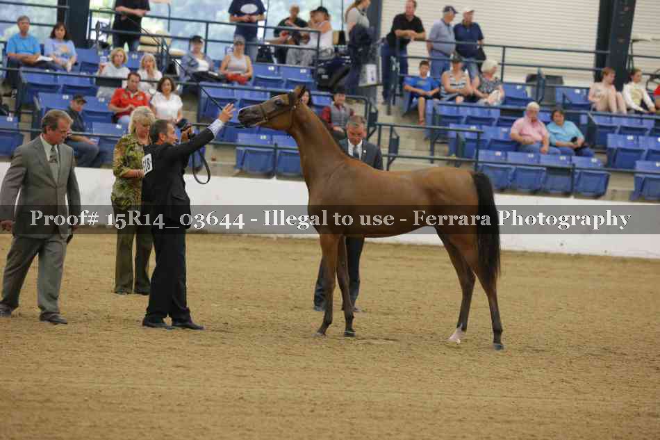 Proof 15R14_03644