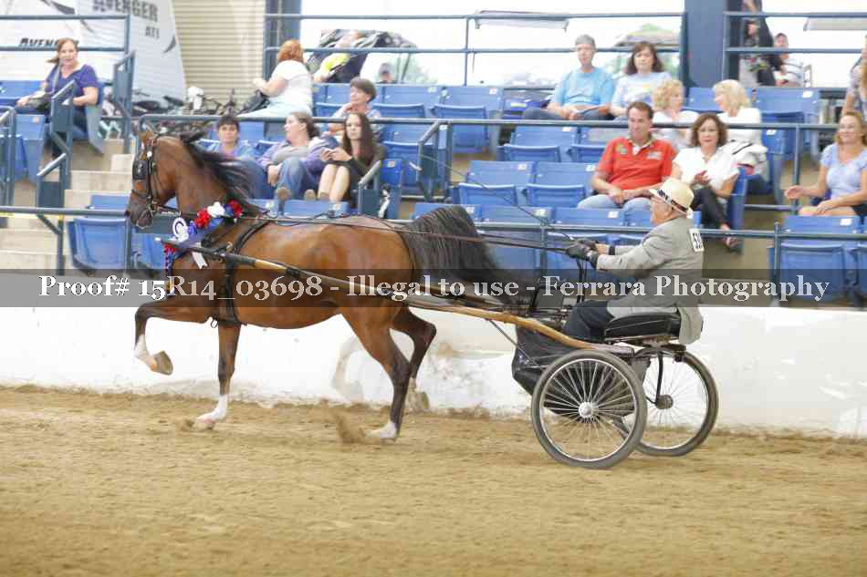 Proof 15R14_03698