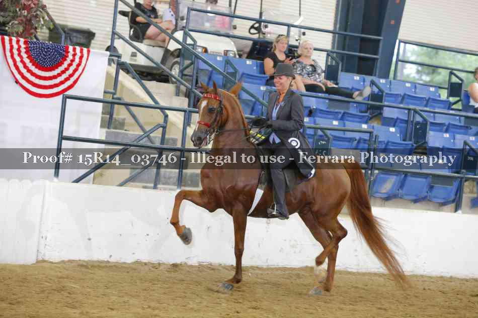 Proof 15R14_03746