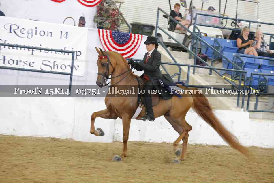 Proof 15R14_03751