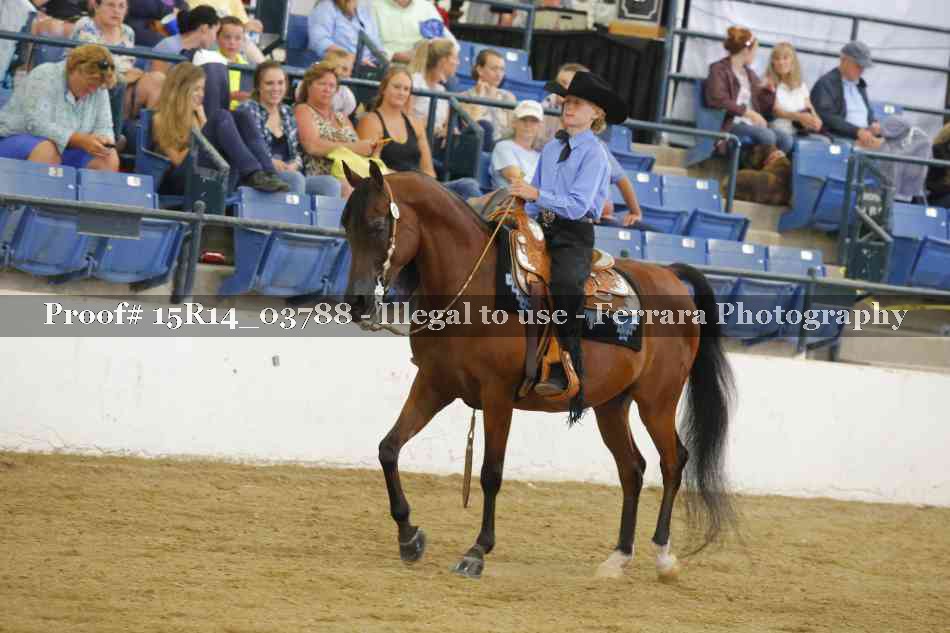 Proof 15R14_03788