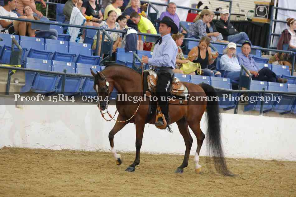 Proof 15R14_03914