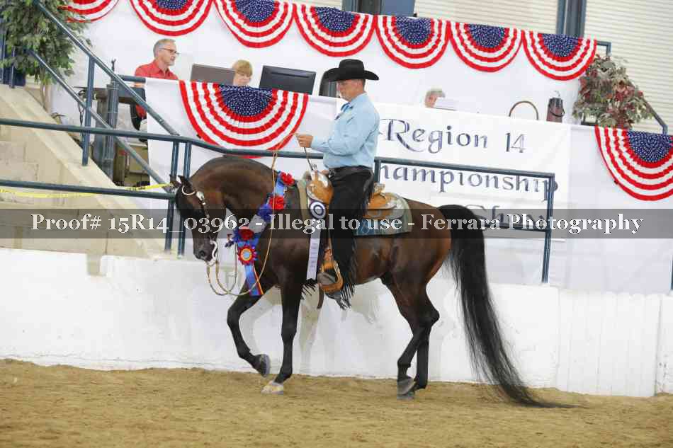 Proof 15R14_03962