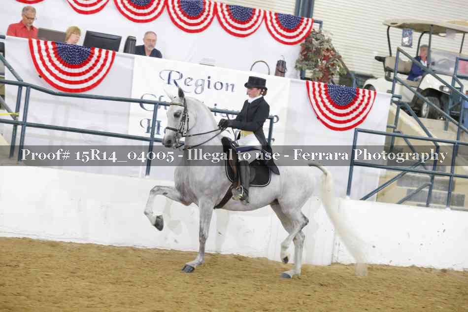Proof 15R14_04005