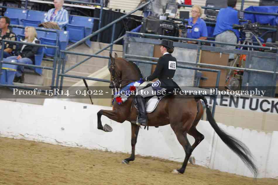 Proof 15R14_04022