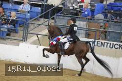 15R14_04022 proof