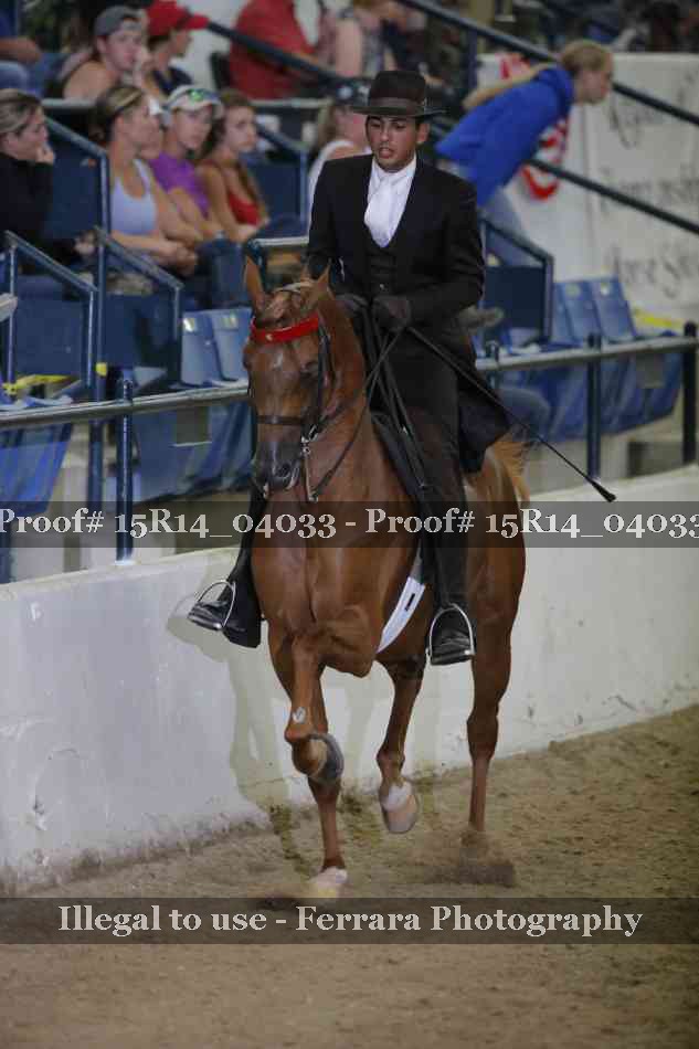 Proof 15R14_04033