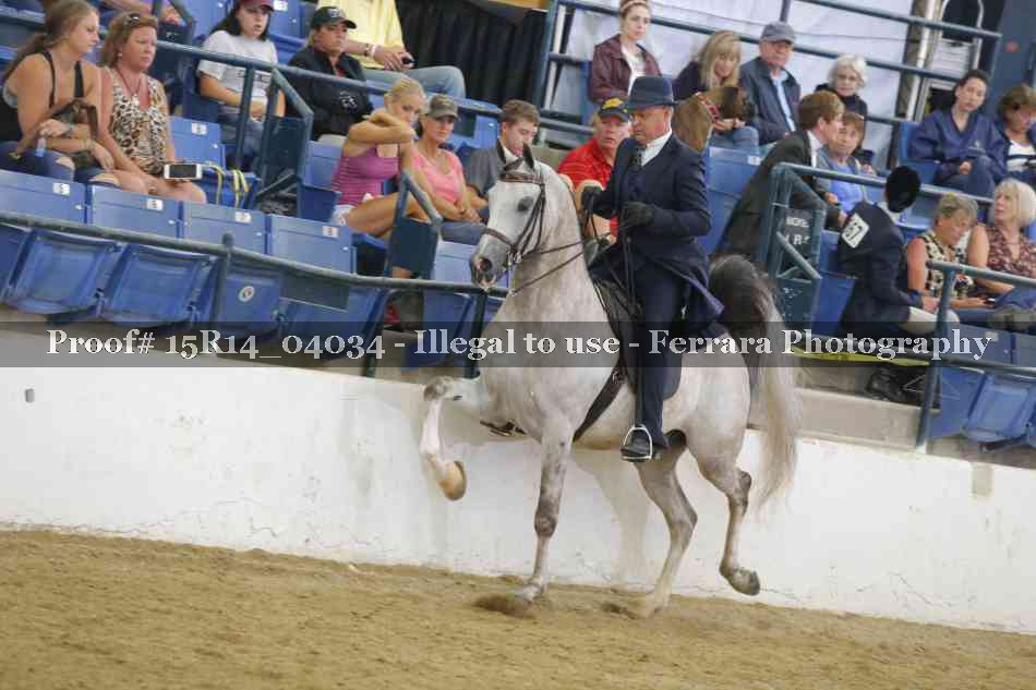 Proof 15R14_04034