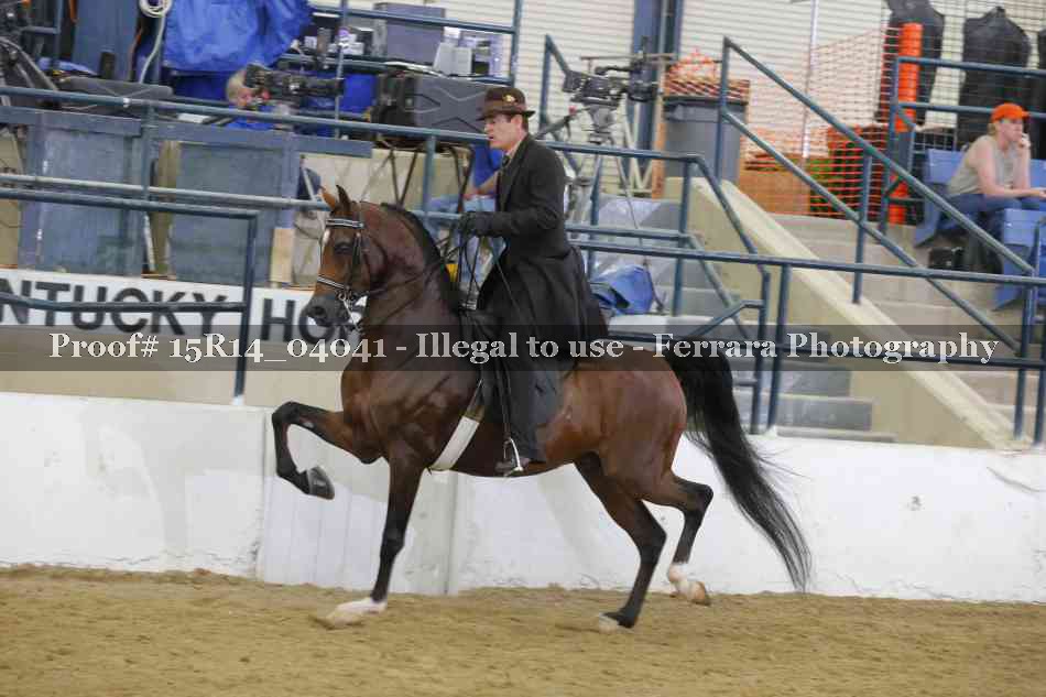 Proof 15R14_04041
