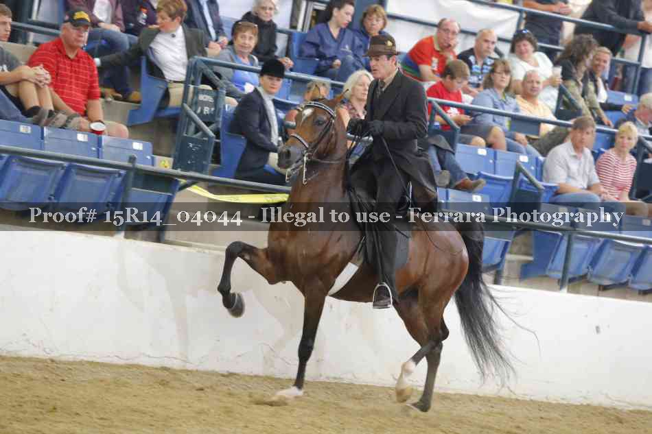 Proof 15R14_04044