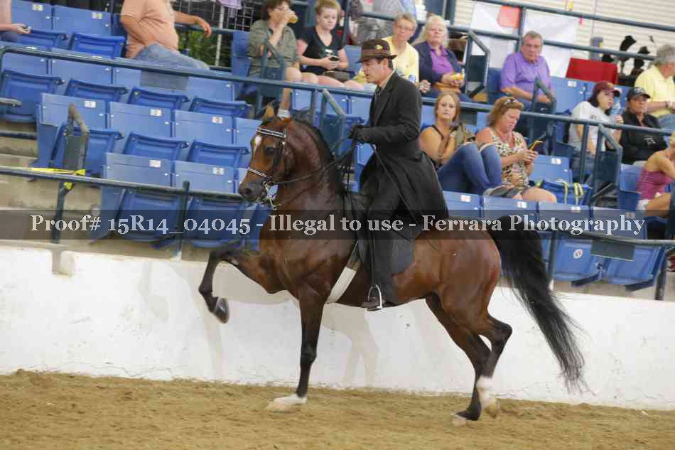 Proof 15R14_04045