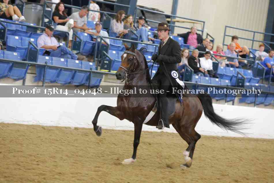 Proof 15R14_04048