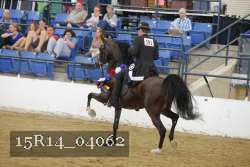 15R14_04062 proof