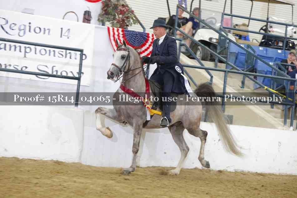 Proof 15R14_04065