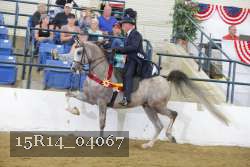 15R14_04067 proof