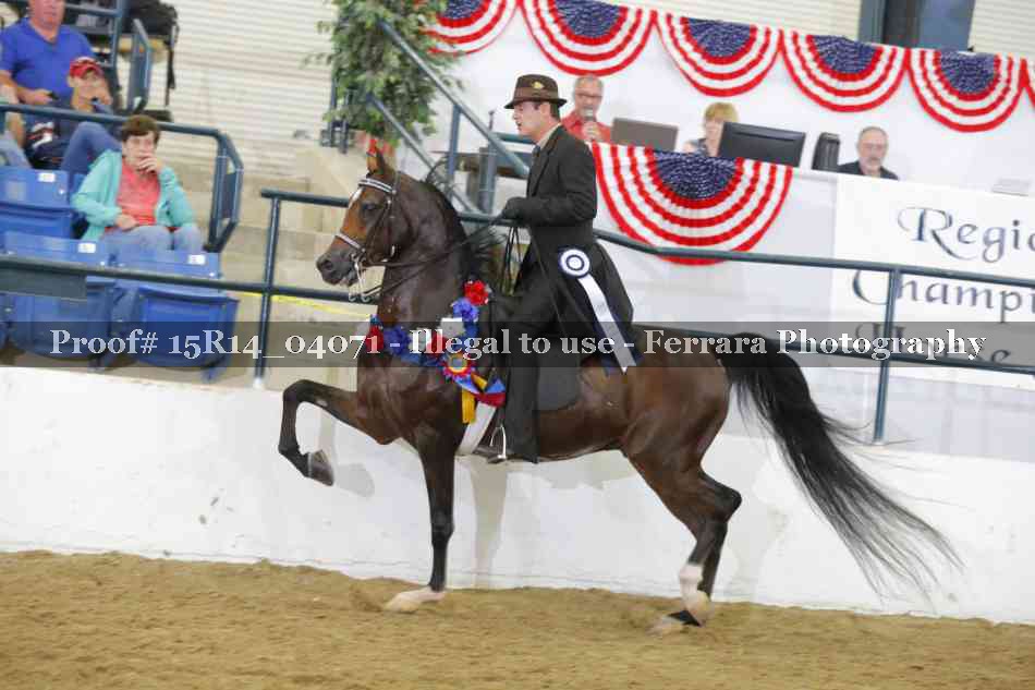 Proof 15R14_04071