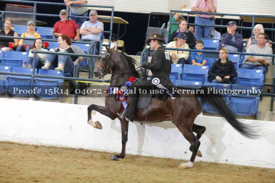 Proof 15R14_04072