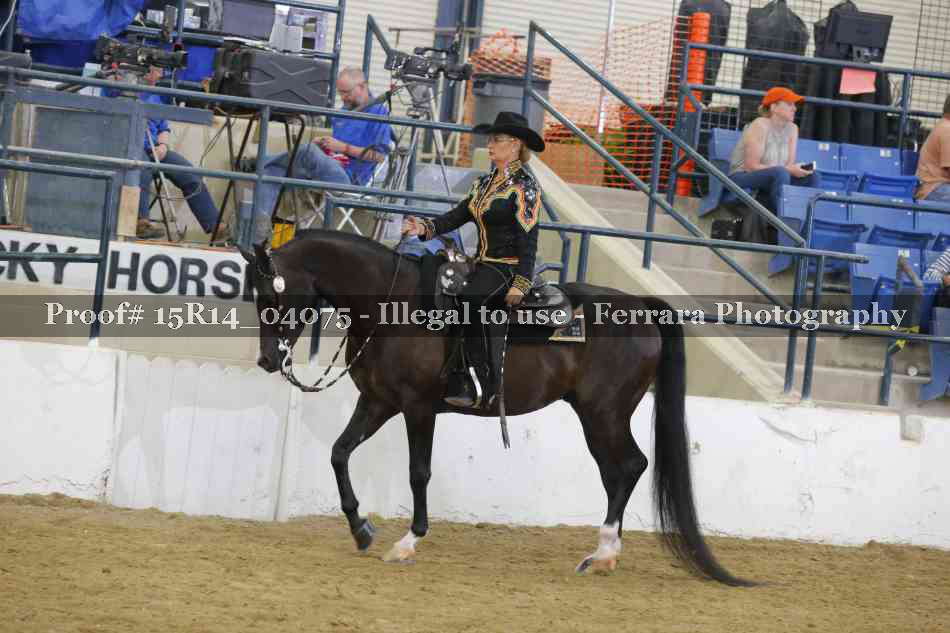 Proof 15R14_04075