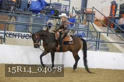 15R14_04078 proof