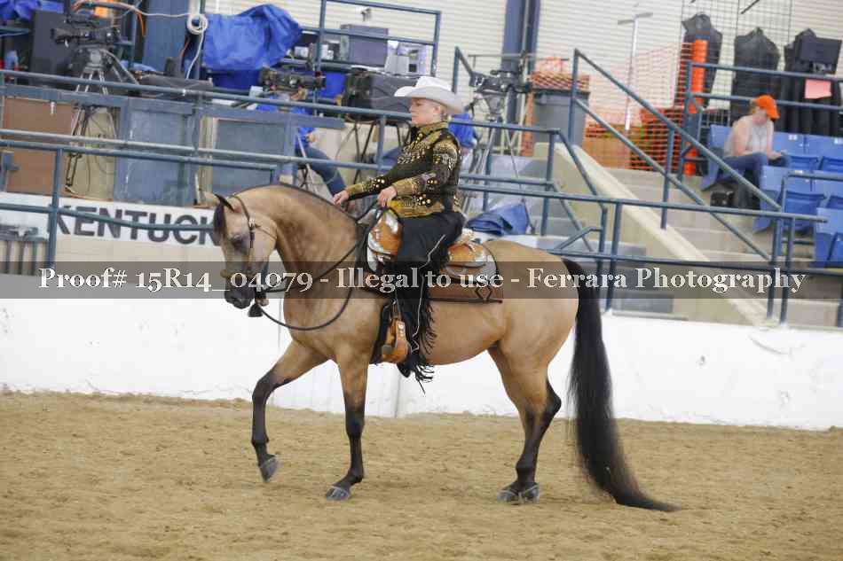 Proof 15R14_04079