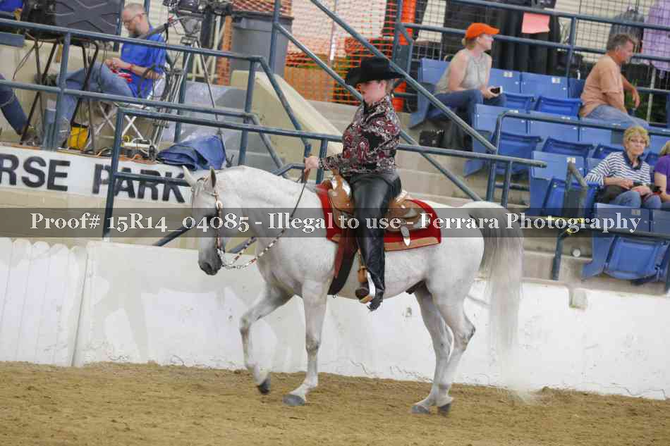 Proof 15R14_04085