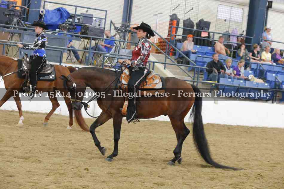 Proof 15R14_04095