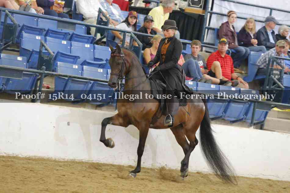 Proof 15R14_04151