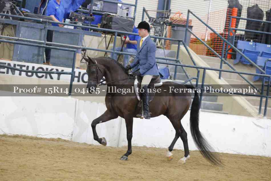 Proof 15R14_04185