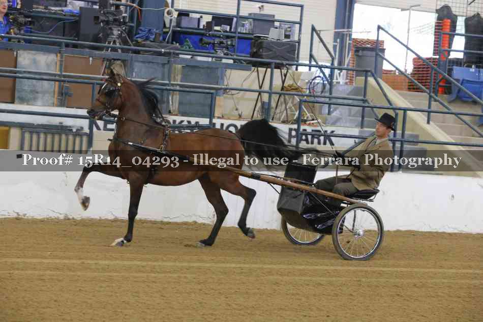 Proof 15R14_04293