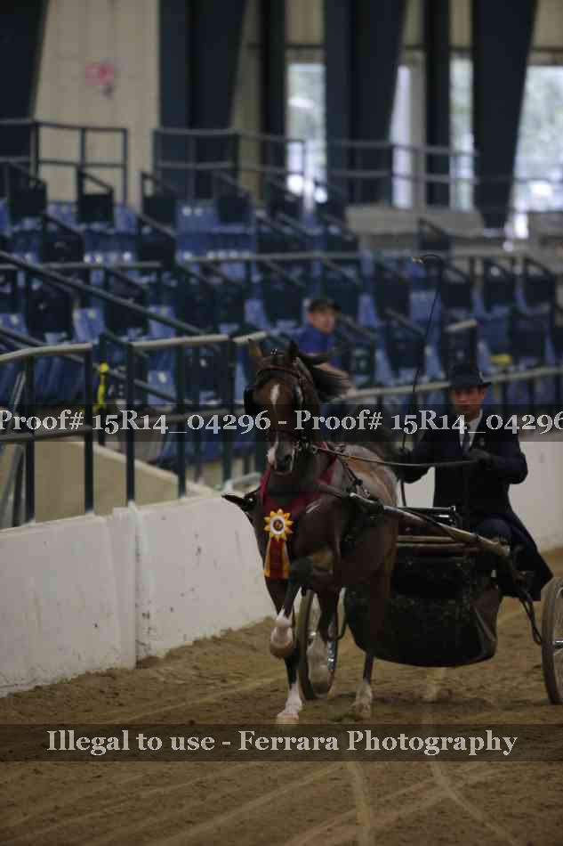 Proof 15R14_04296