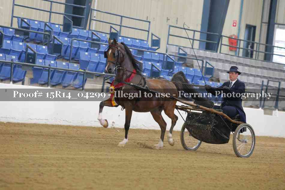 Proof 15R14_04299