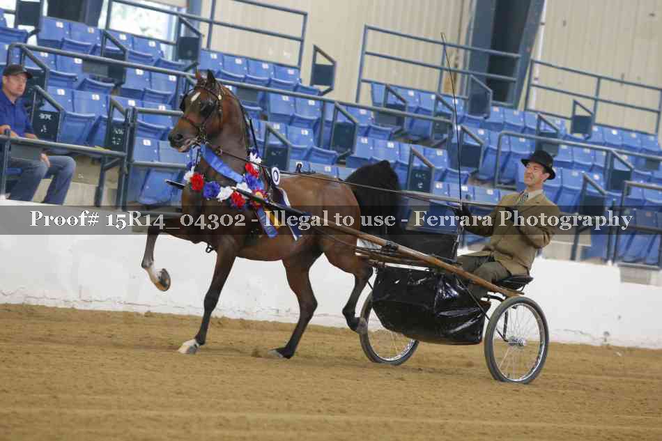 Proof 15R14_04302