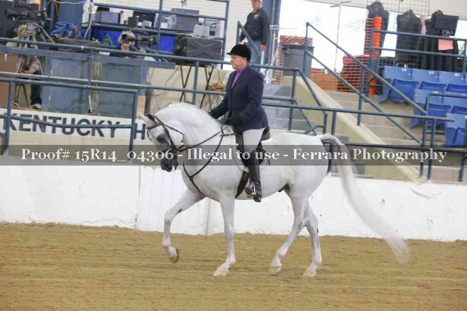 Proof 15R14_04306