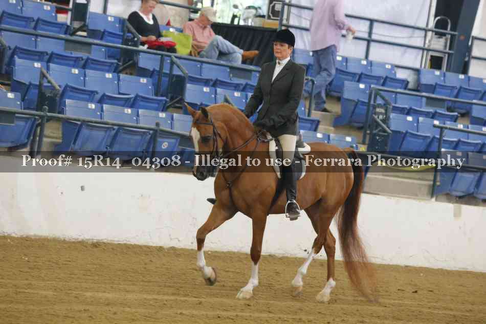 Proof 15R14_04308