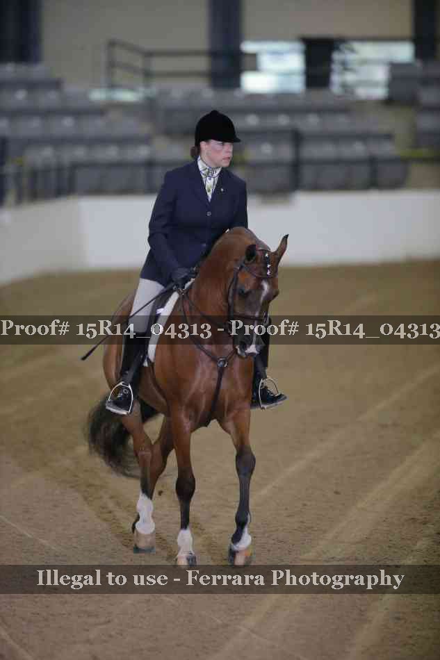 Proof 15R14_04313