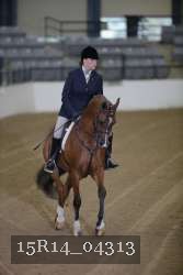 15R14_04313 proof