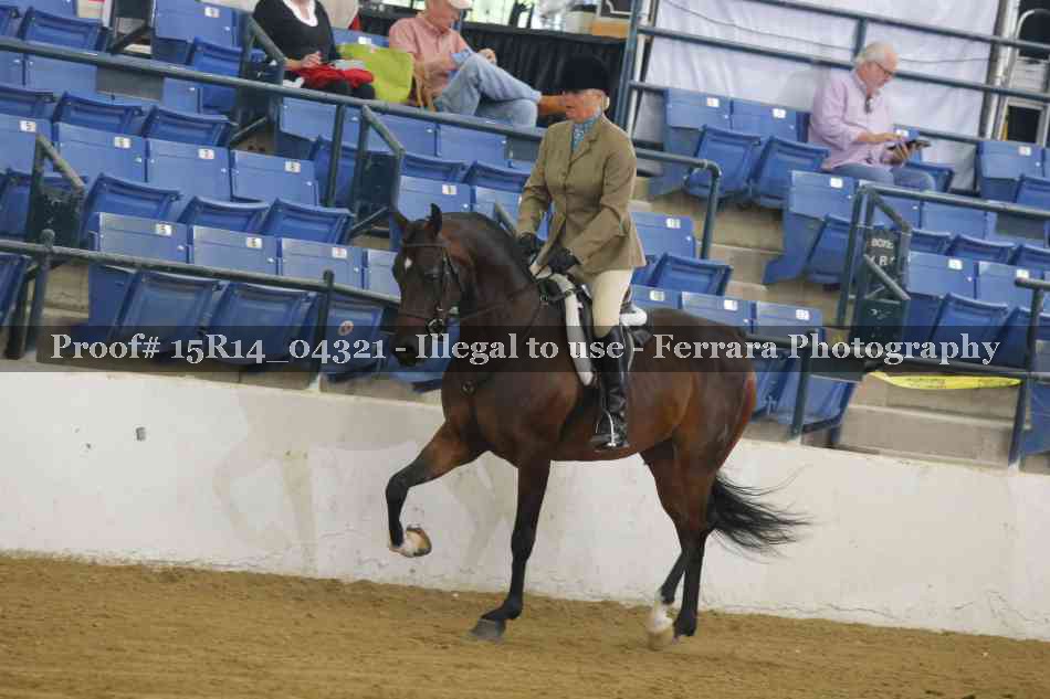 Proof 15R14_04321