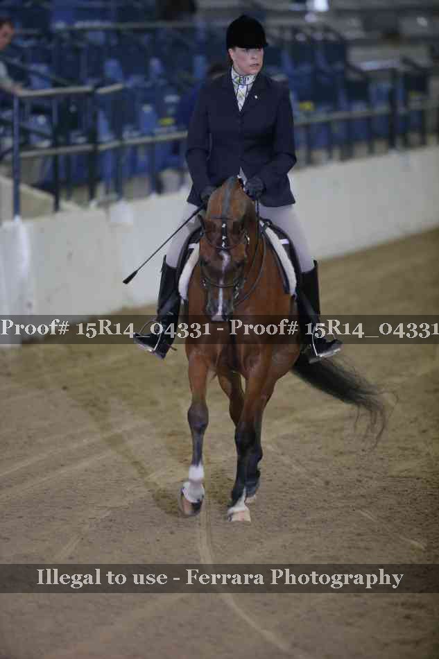 Proof 15R14_04331