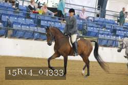 15R14_04333 proof