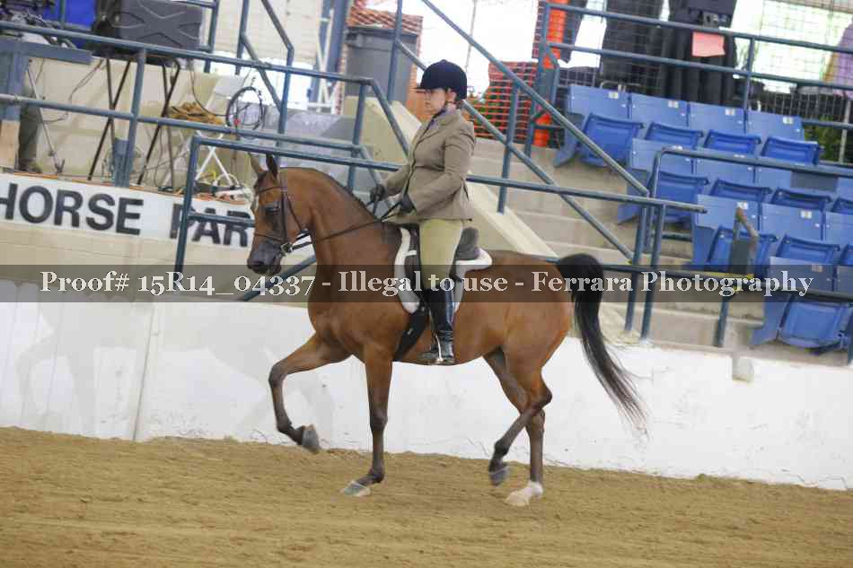 Proof 15R14_04337
