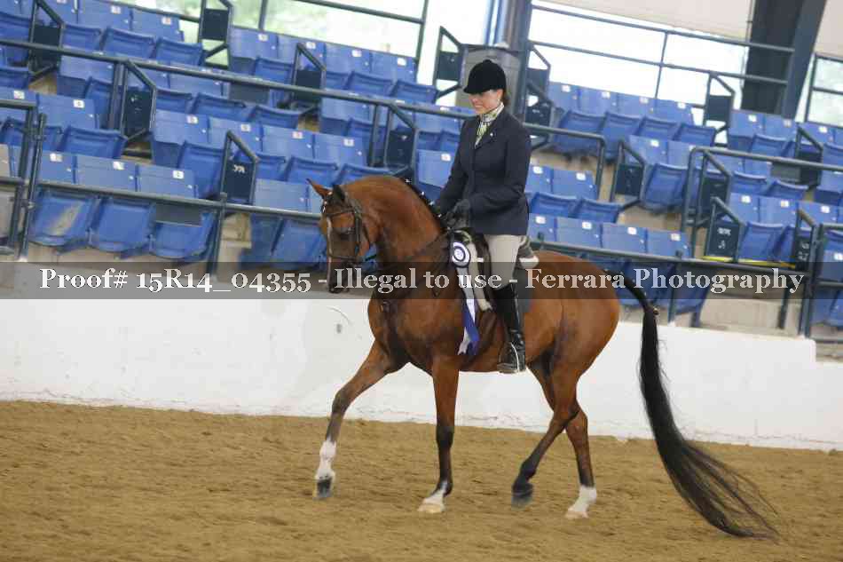 Proof 15R14_04355