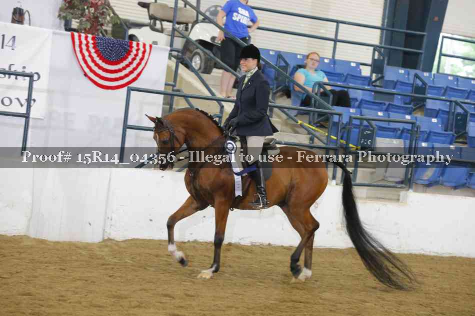 Proof 15R14_04356