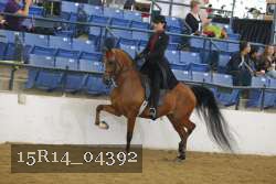 15R14_04392 proof