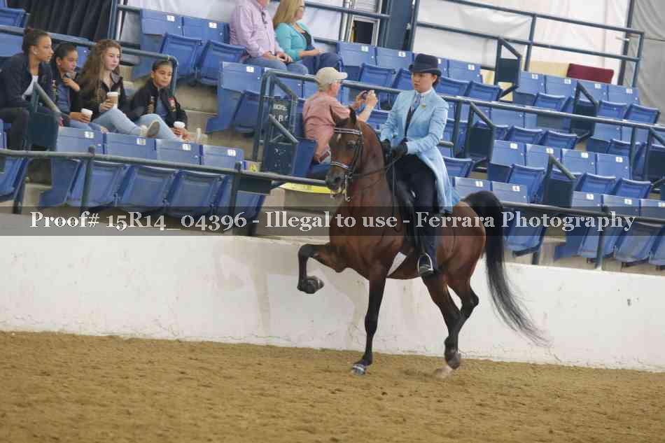 Proof 15R14_04396
