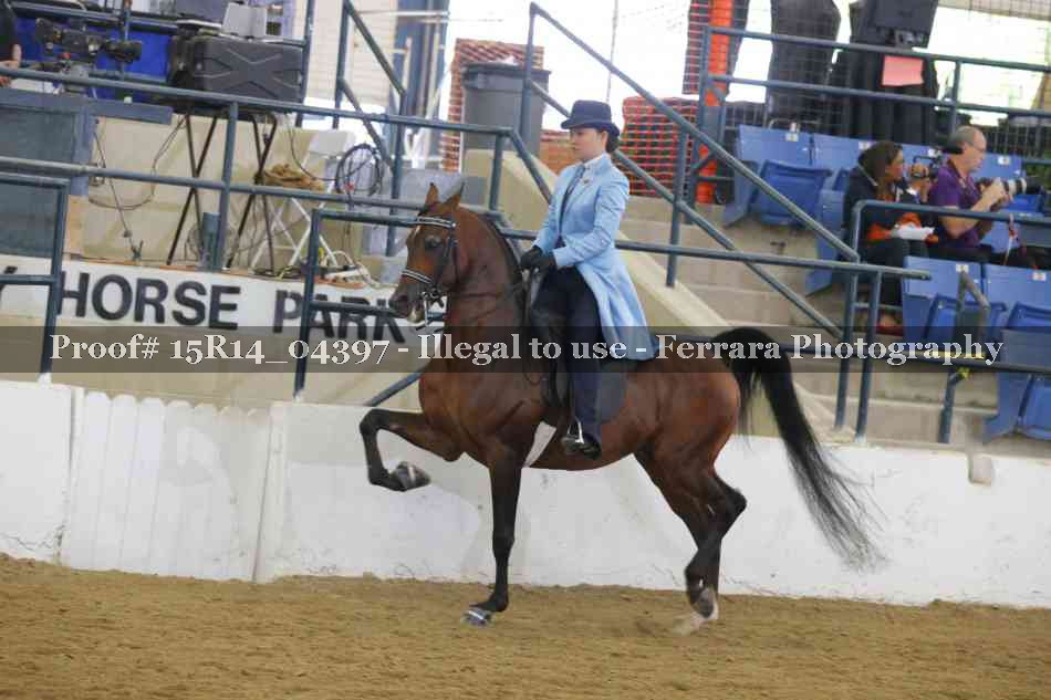 Proof 15R14_04397