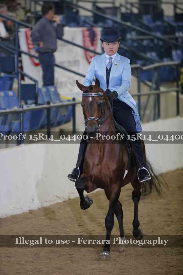 Proof 15R14_04400