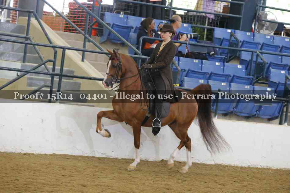 Proof 15R14_04401